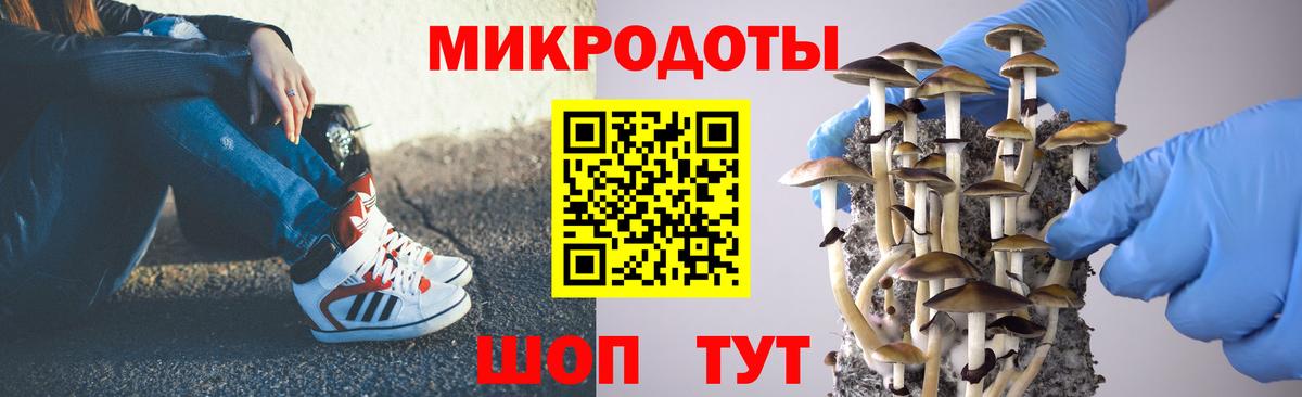 Шелехов  Галлюциногенные грибы ЛСД  Вход с VPN 